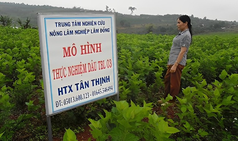 Hợp t&aacute;c x&atilde; l&agrave; thiết chế để huy động sức mạnh, niềm tin của người n&ocirc;ng d&acirc;n.