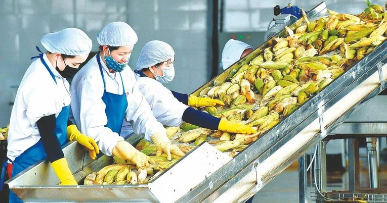 Chính phủ yêu cầu tập trung hỗ trợ doanh nghiệp, thúc đẩy sản xuất