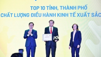 PCI 2022: Bà Rịa-Vũng Tàu vươn lên số 1 Đông Nam Bộ, TP HCM rớt top10