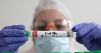 Trung Quốc có ca tử vong đầu tiên trên thế giới do cúm H3N8