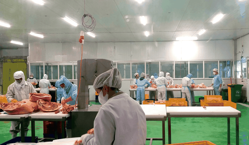 Kinh doanh chuối khởi sắc, lợi nhuận qu&yacute; 1 của HAGL tăng trưởng 2 con số