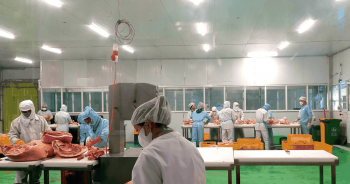 Kinh doanh chuối khởi sắc, lợi nhuận quý 1 của HAGL tăng trưởng 2 con số