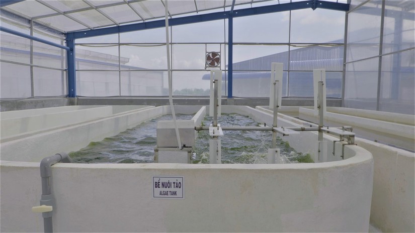 Một khu sản xuất của Vĩnh Ho&agrave;n. Ảnh: VHC