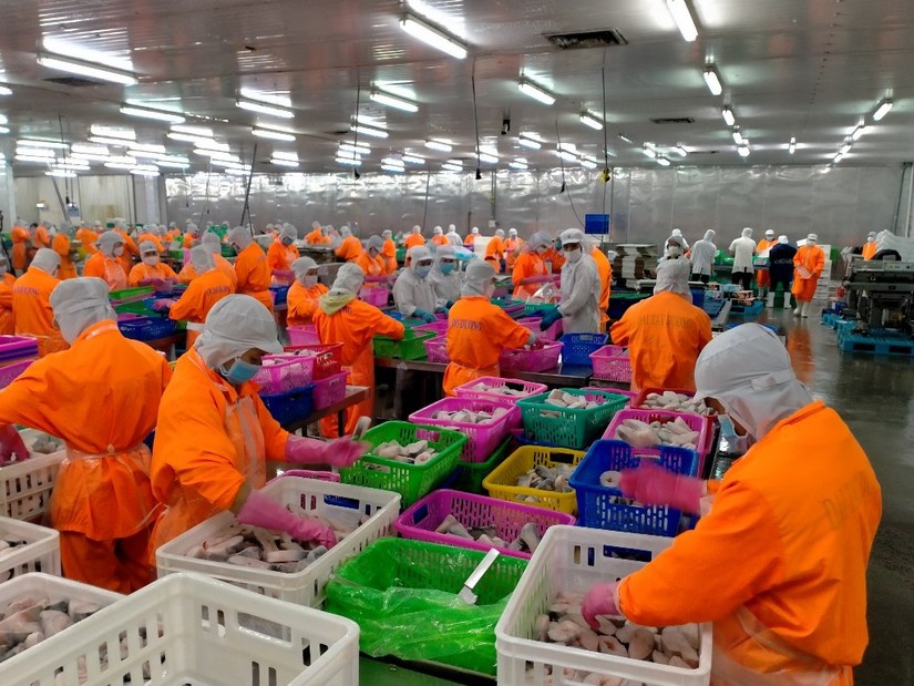 Lợi nhuận của Navico giảm mạnh 55% trong qu&yacute; 1/2023