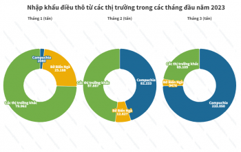 Campuchia chiếm 52% lượng nhập khẩu điều thô của Việt Nam quý 1