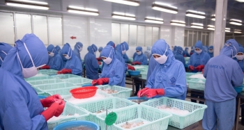 Sao Ta giảm được 20% khoản nợ trong quý đầu năm 2023