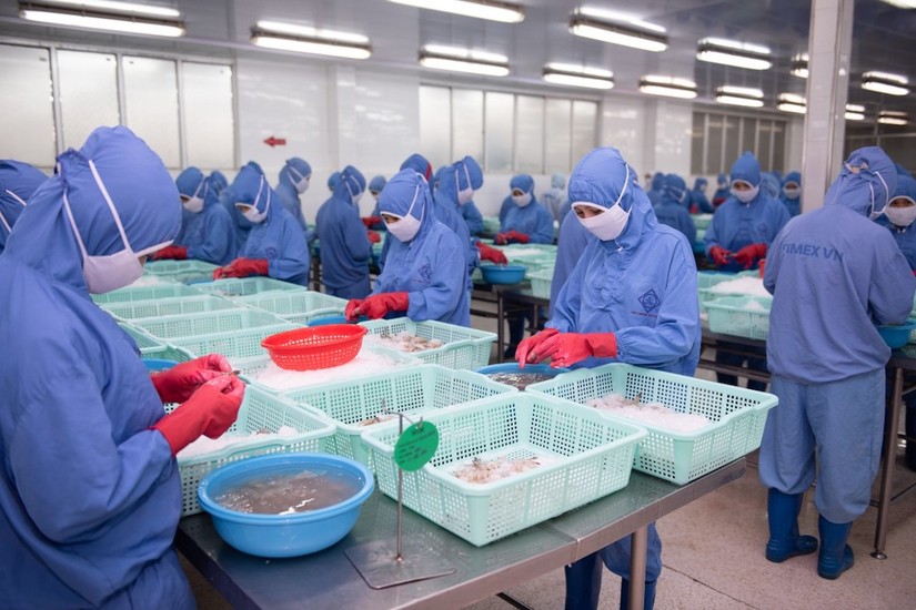 Sao Ta giảm được 20% khoản nợ trong qu&yacute; đầu năm 2023