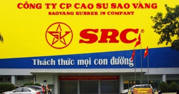 Lợi nhuận giảm 71%, Cao su Sao Vàng mới hoàn thành 5% kế hoạch năm