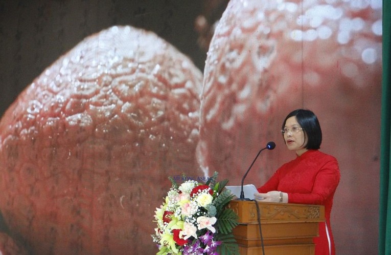 B&agrave; Ho&agrave;ng Thị Th&uacute;y H&agrave;, Ph&oacute; Chủ tịch Thường trực UBND huyện Thanh H&agrave; tại hội nghị.