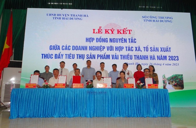 Tại hội nghị, đại diện c&aacute;c doanh nghiệp, si&ecirc;u thị, hợp t&aacute;c x&atilde;, cơ sở sản xuất trong huyện đ&atilde; k&yacute; kết văn bản hợp t&aacute;c sản xuất, ti&ecirc;u thụ vải thiều Thanh H&agrave;.