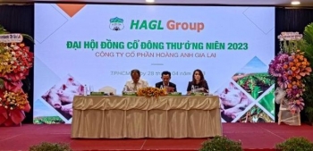 HAGL xác định 2023 là năm 'trụ hạng', chưa thể bứt phá kinh doanh
