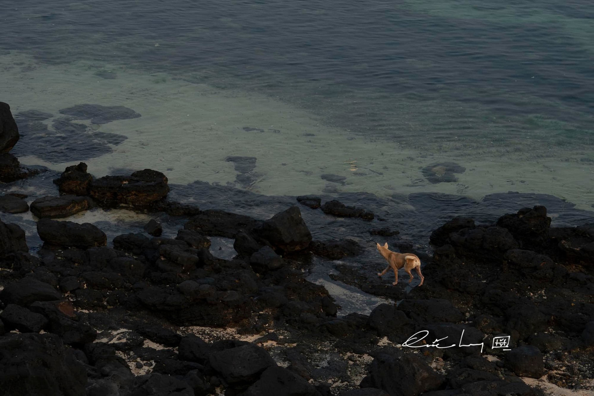 Lắng nghe cảm giác bình yên mỗi buổi chiều qua góc nhìn của Quốc Huy Lắng nghe cảm giác bình yên mỗi buổi chiều qua góc nhìn của Quốc Huy