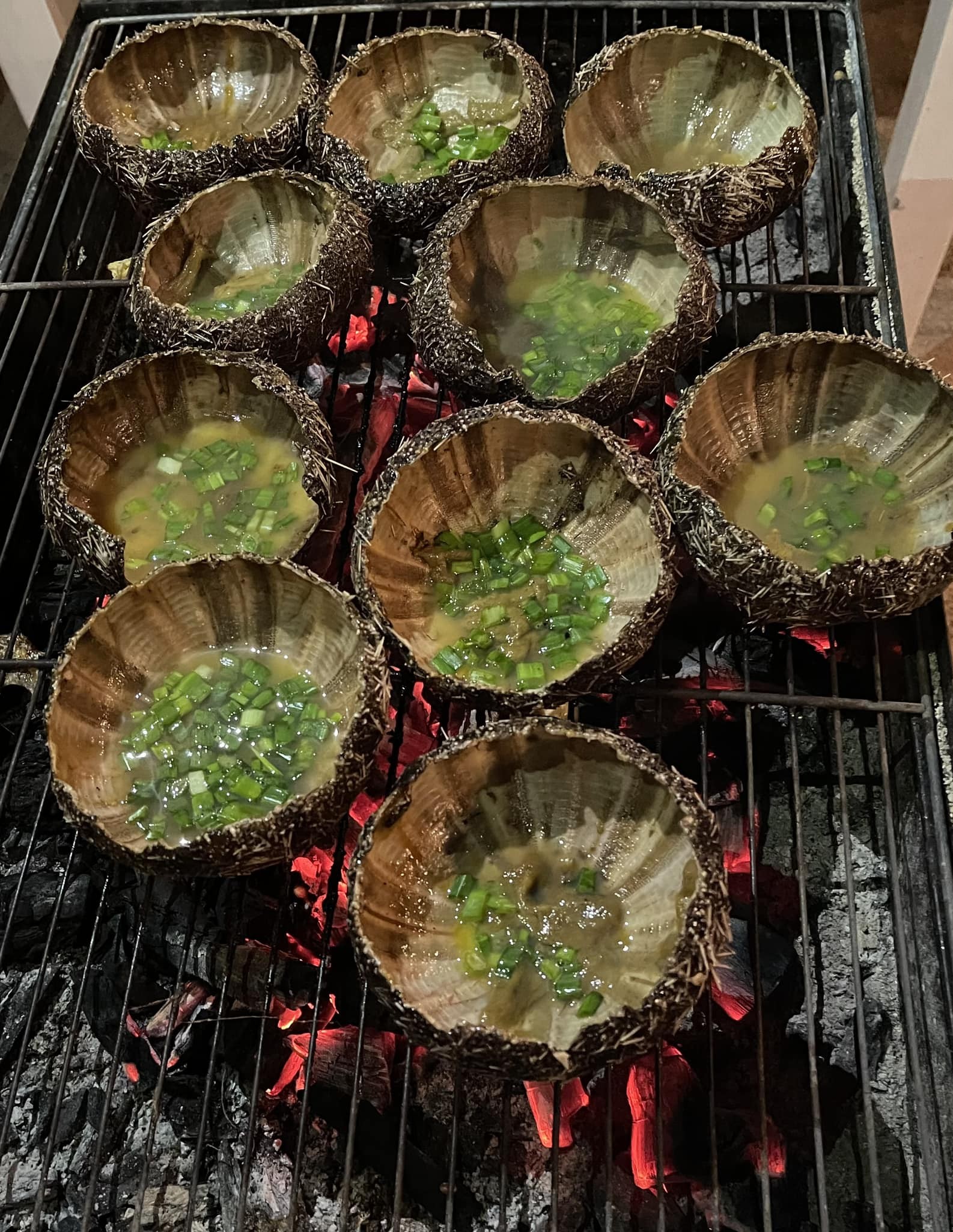 Món nhum biển dậy vị nhất khi được nướng trên than hồng Món nhum biển dậy vị nhất khi được nướng trên than hồng