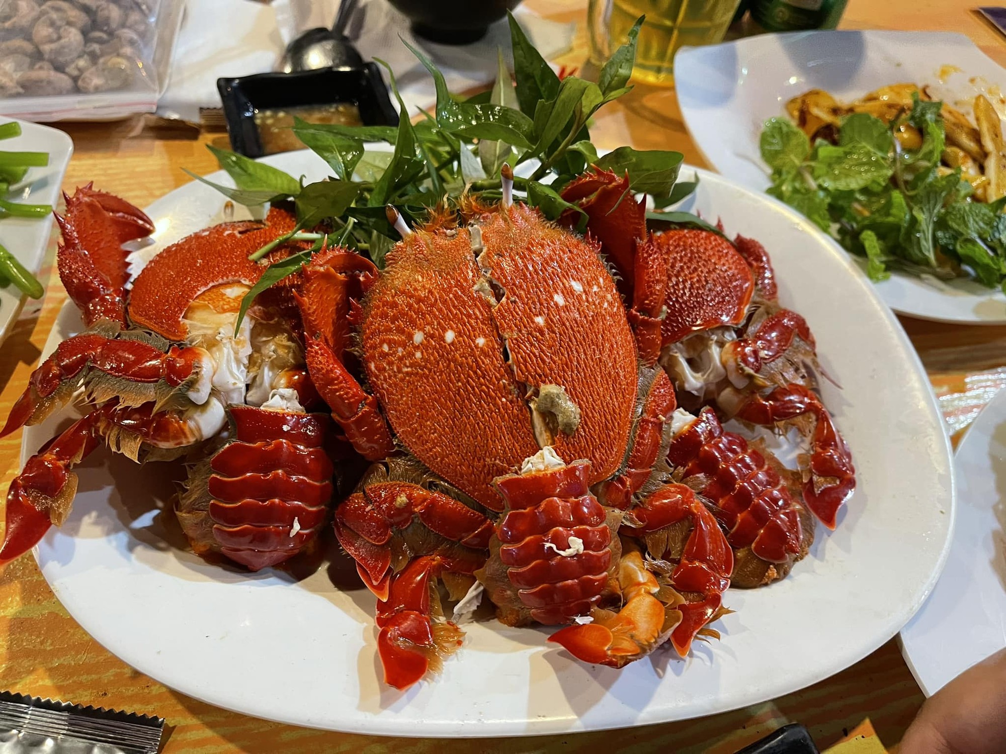 Cua Huỳnh đế, một đặc sản nổi bật của Phú Quý Cua Huỳnh đế, một đặc sản nổi bật của Phú Quý