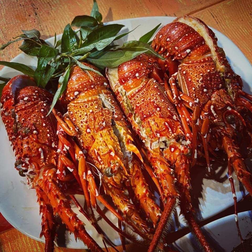 Tôm hùm baby, hải sản Phú Quý có đặc điểm là rất ngon, giá cả hợp lý Tôm hùm baby, hải sản Phú Quý có đặc điểm là rất ngon, giá cả hợp lý