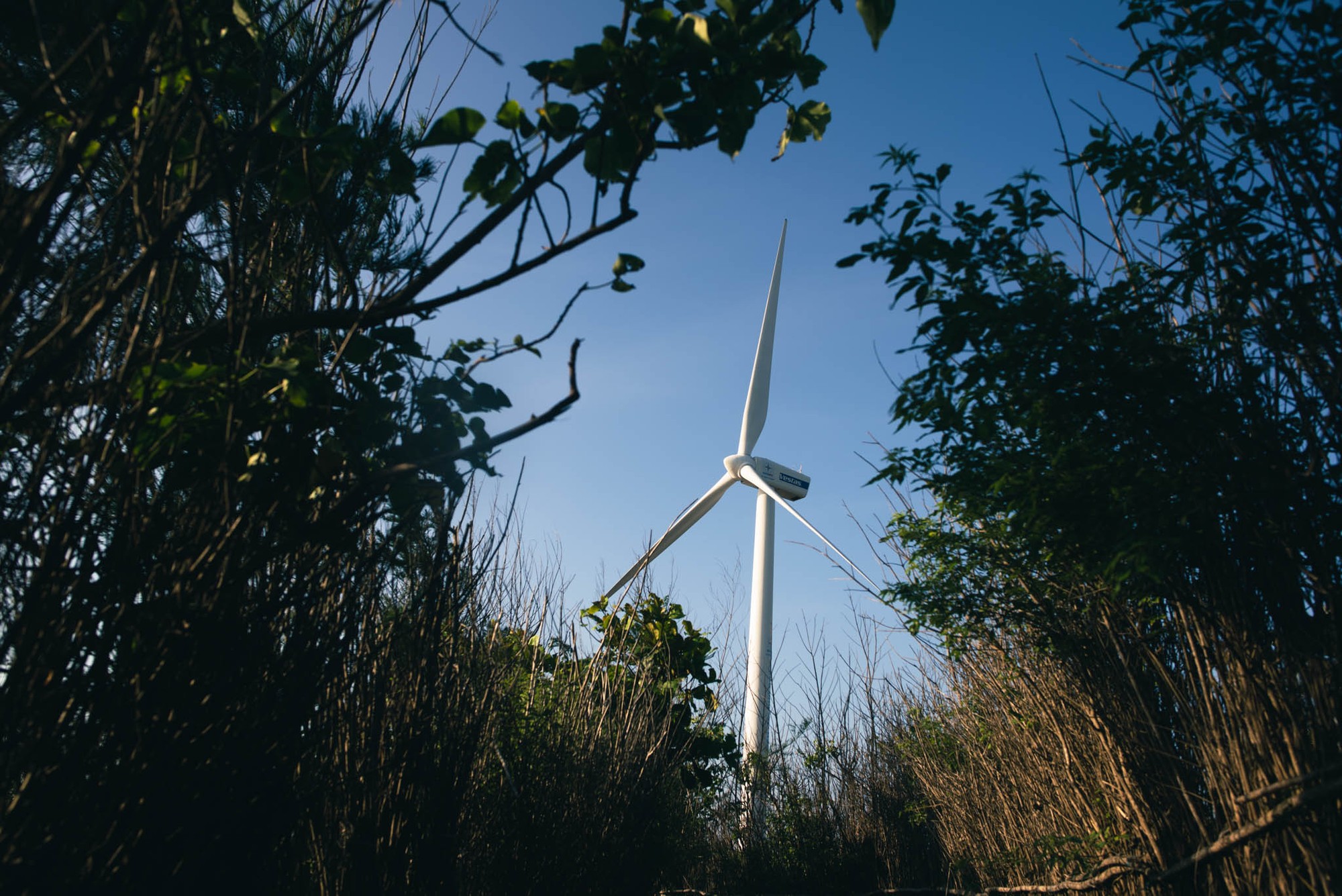 Một trong những góc check-in được ưa chuộng nhất trên đảo Phú Quý. Ảnh: Lekima Hùng Một trong những góc check-in được ưa chuộng nhất trên đảo Phú Quý. Ảnh: Lekima Hùng