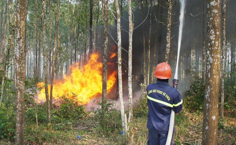 Ảnh minh họa: VGP