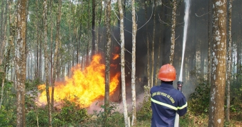 Tăng cường biện pháp cấp bách về phòng cháy, chữa cháy rừng