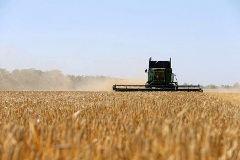N&ocirc;ng d&acirc;n thu hoạch ngũ cốc ở Odessa, Ukraine. Ảnh: Reuters