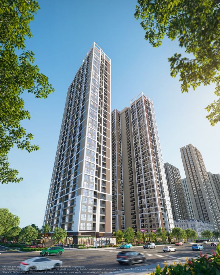 TC2 - The Canopy Summit