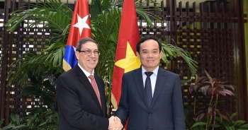 Việt Nam khẳng định lập trường luôn đoàn kết và ủng hộ Cuba