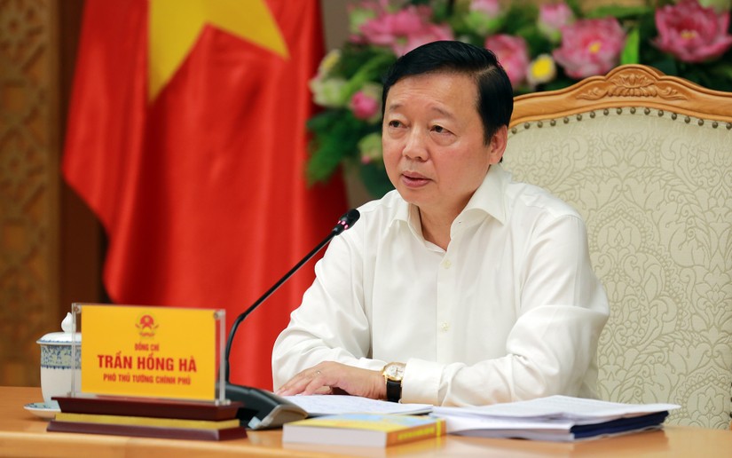 Ph&oacute; Thủ tướng Trần Hồng H&agrave; - Ảnh: VGP