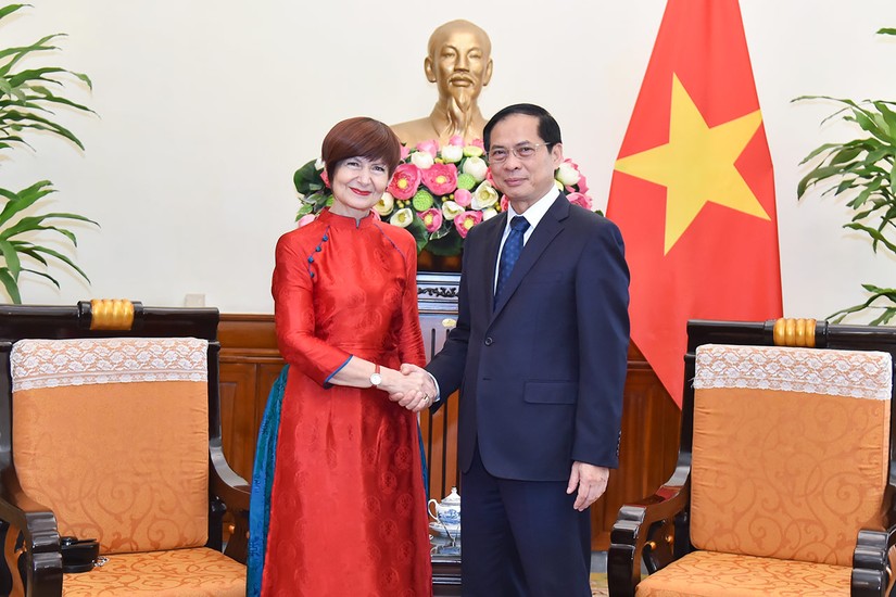 Bộ trưởng Ngoại giao B&ugrave;i Thanh Sơn tiếp b&agrave; Simona-Mirela Miculescu, Chủ tịch Đại hội đồng UNESCO. Ảnh: BNG