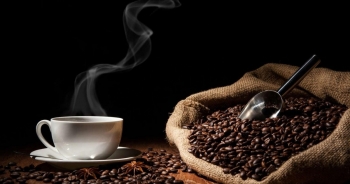EUDR có là rào cản cho xuất khẩu cà phê sang Đức?