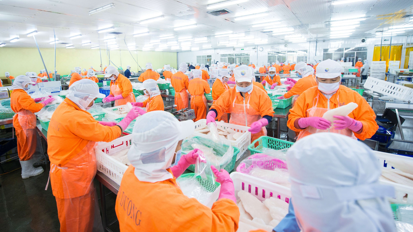 Navico đặt kế hoạch đạt 4.900 tỷ đồng doanh thu hợp nhất trong năm 2022. Ảnh: Navicorp.com