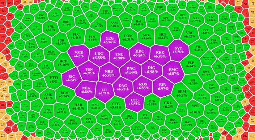 Kết quả giao dịch tr&ecirc;n s&agrave;n HoSE phi&ecirc;n 11/5. Vietstock