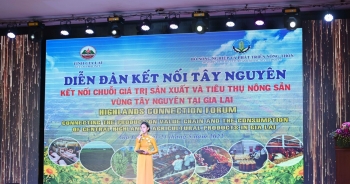 Tây Nguyên mời gọi ‘đại bàng, chim sẻ’ đầu tư vào chuỗi giá trị nông sản