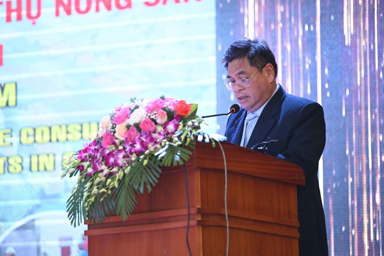 Ảnh: Qu&aacute;ch Sơn