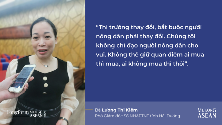 Hải Dương: Thay đổi nhận thức để nâng cao chất lượng vải thiều Thanh Hà