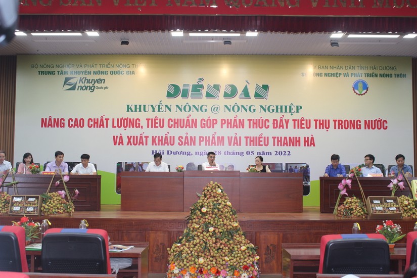 Hải Dương: Thay đổi nhận thức để n&acirc;ng cao chất lượng vải thiều Thanh H&agrave;