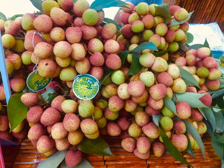 Sản phẩm vải Thanh H&agrave; trưng b&agrave;y tại diễn đ&agrave;n.