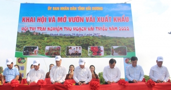 Mở vườn vải Thanh Hà, khai hội xuất khẩu nông sản Hải Dương