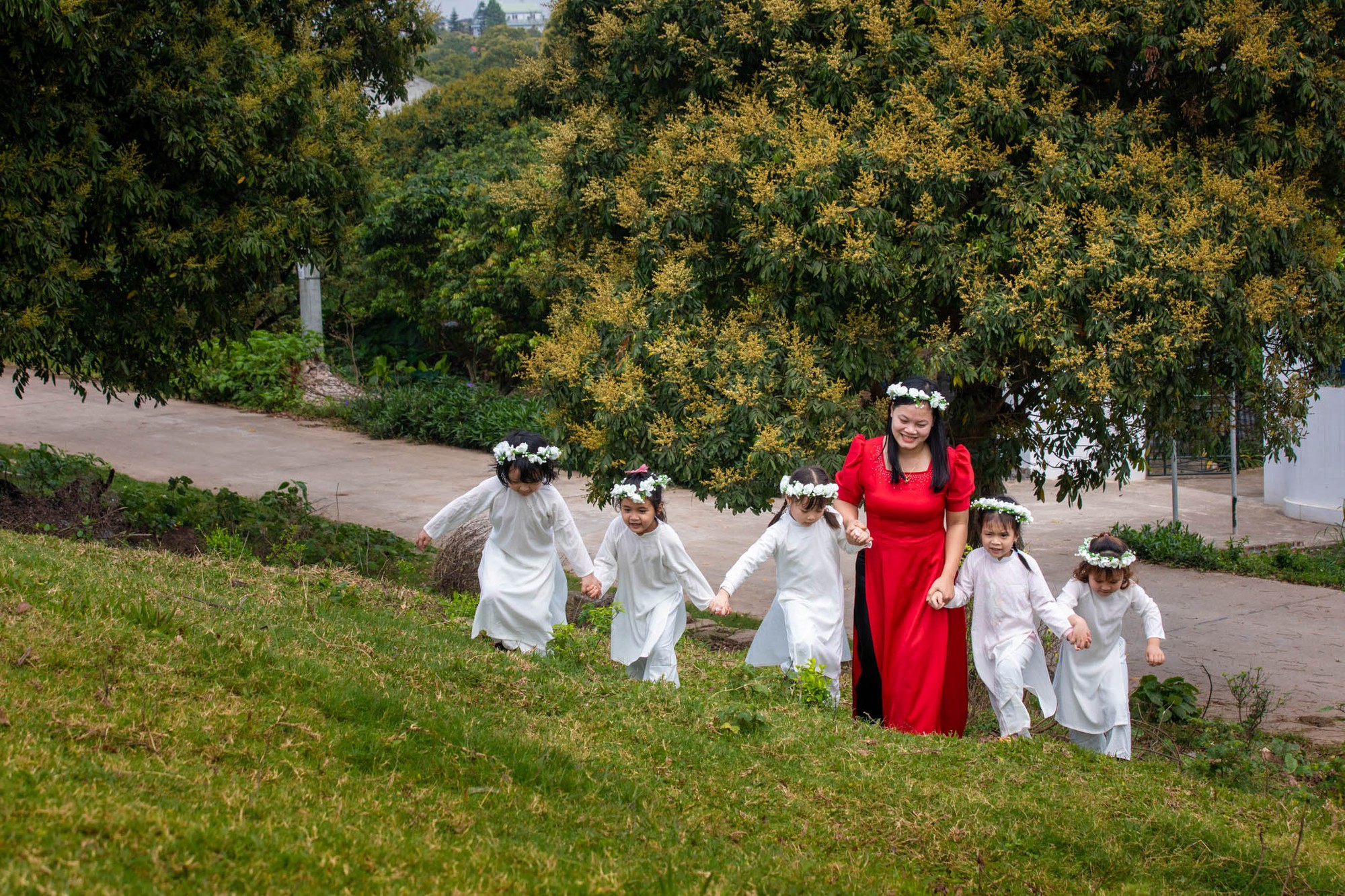 L&agrave; những kỷ niệm con đường đến trường rợp b&oacute;ng hai h&agrave;ng nh&atilde;n, b&oacute;ng nh&atilde;n che nắng che mưa, hương nh&atilde;n ngọt ng&agrave;o, &ocirc;m ấp bao nỗi niềm thơ ấu.