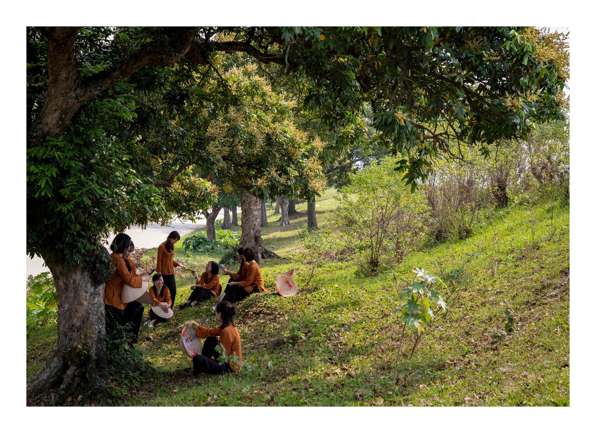 Với những đứa trẻ th&ocirc;n qu&ecirc;, tuổi thơ l&agrave; những th&aacute;ng ng&agrave;y hồn nhi&ecirc;n c&ugrave;ng bạn b&egrave; n&ocirc; đ&ugrave;a dưới t&aacute;n c&acirc;y, l&agrave; tiếng cười gi&ograve;n tan khi thi nhau vịn c&agrave;nh hoa nh&atilde;n, l&agrave; những mong chờ từng ng&agrave;y hoa đơm tr&aacute;i ngọt.