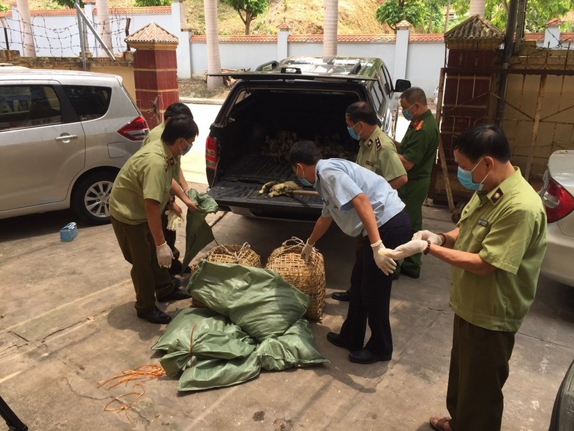 Ngăn chặn bu&ocirc;n b&aacute;n tr&aacute;i ph&eacute;p gia cầm. Ảnh: TTXVN.