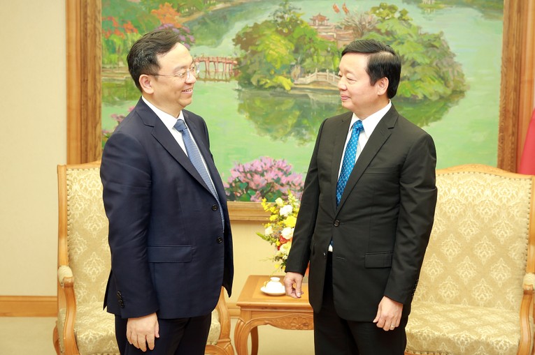 Ph&oacute; Thủ tướng Trần Hồng H&agrave; tiếp Chủ tịch BYD Wang Chuanfu h&ocirc;m 5/5. Ảnh: VGP.