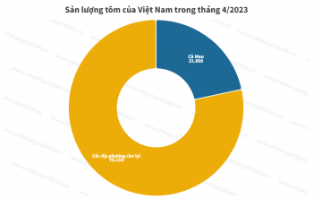 Cà Mau chiếm 21% tổng sản lượng tôm của Việt Nam trong tháng 4/2023