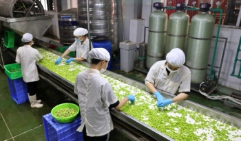 Bắc Giang: Công nghiệp và nông nghiệp là hai điểm sáng kinh tế tháng 4
