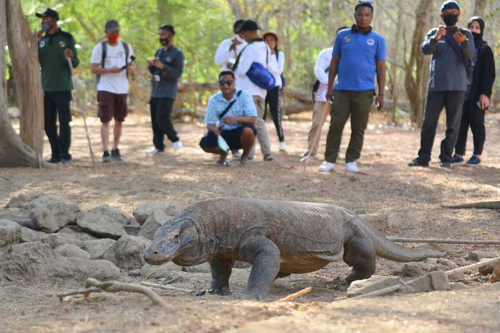 'Cửa ng&otilde; của rồng' Labuan Bajo - nơi tổ chức Cấp cao ASEAN 42 ảnh 3