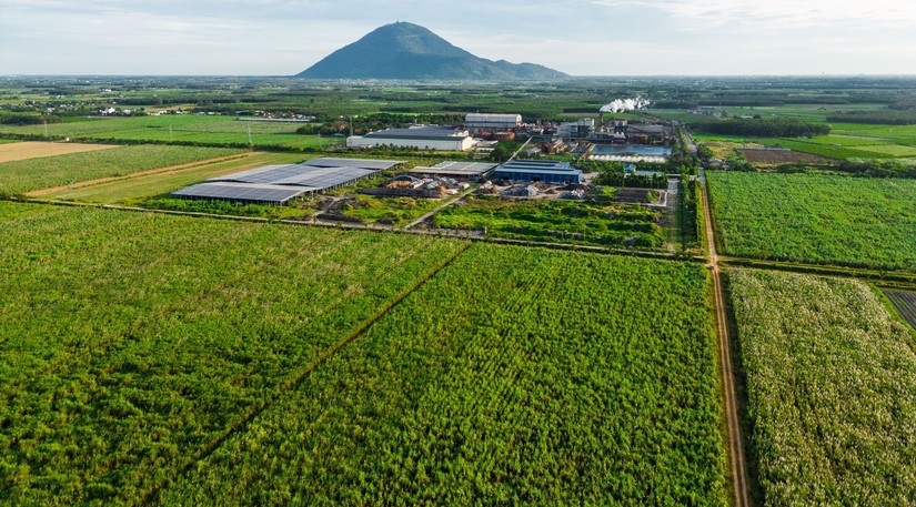 Nh&agrave; m&aacute;y đường v&agrave; v&ugrave;ng nguy&ecirc;n liệu của TTC AgriS. Ảnh: TTC AgriS