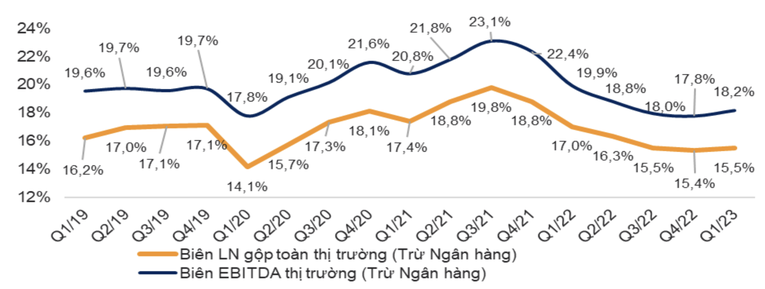 Tăng trưởng doanh thu, lợi nhuận v&agrave; bi&ecirc;n lợi nhuận gộp của c&aacute;c doanh nghiệp tr&ecirc;n s&agrave;n.