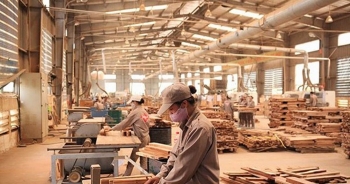 Đại sứ Việt Nam tại các thị trường lớn bàn chuyện hỗ trợ ngành gỗ