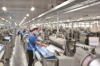 Cổ đông May Việt Thắng sắp nhận cổ tức bằng tiền mặt tỷ lệ 25%