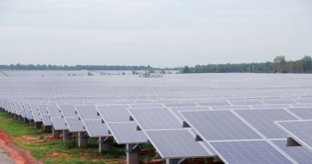 Công ty điện mặt trời của Vietracimex báo lãi 149 tỷ đồng năm 2022