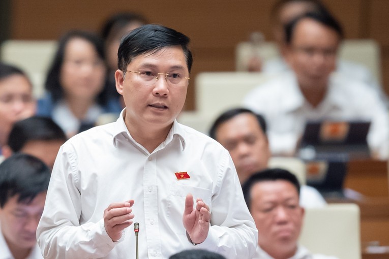 Đại biểu L&ecirc; Ho&agrave;ng Anh - Đo&agrave;n ĐBQH tỉnh Gia Lai