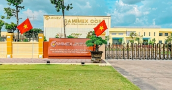 Camimex đặt mục tiêu 100 triệu USD xuất khẩu thủy sản năm nay